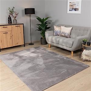 Paco Home Tappeto Salotto Moderno Soggiorno Pelo Corto Lavabile in Lavatrice Monocolore Tappeto Morbido, Dimensione:240x340 cm, Colore:Grigio