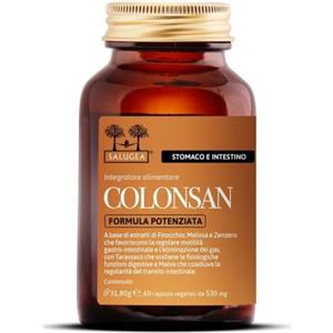Salugea Colonsan Formula Potenziata - Integratore Naturale per la Digestione e l'Eliminazione dei Gas - 60 Capsule