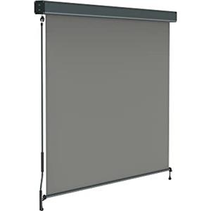 paramondo Tenda da Sole Verticale a Rullo per Esterno 2000 Protezione Solare per Balcone con Cassonetto e Manovella, 140 x 250 cm, Grigio, Struttura Antracite