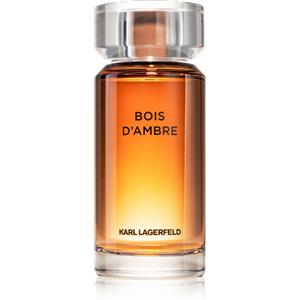 Karl Lagerfeld Bois d'Ambre Eau de Toilette 100 ml - Fragranza Legnosa Ambrata per Uomo