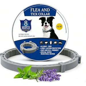FFTANXS Collare Antipulci Cane, Collare antiparassitario per cani/gatti, Collare antizecche per cani, 8 Mesi di Protezione Impermeabile Universale Collare Antiparassitario Cani,Oli Essenziali Naturali Al 100%