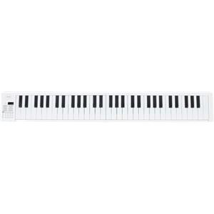 Wakects 61 Chiave Pieghevole per Pianoforte Pieghevole Tastiera Portatile Musica Elettrica con Pedale Sustain Midi, Tastiera Portatile Pianoforte per a per Elettrica Musicale