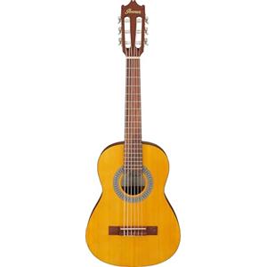 Ibanez Acoustic guitar / GA1OAM Standard