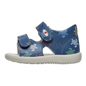 Falcotto NEW RIVER CALF PR.TURTLES AZURE