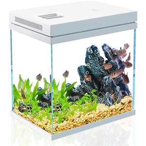 Craftsboys Serbatoio da 25 litri, vetro nano, acqua dolce e marina, accessori inclusi (bianco, 25 l)