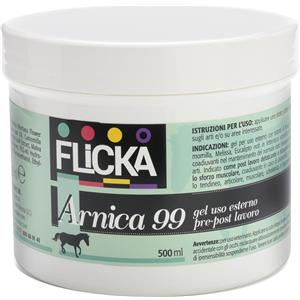 BIOEQUIPE Arnica 99 Gel 500ml - Gel cosmetico a base di Arnica montana e Mentolo, Massaggio Defaticante e Rilassante