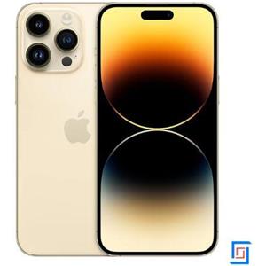iPhone 14 Pro Ricondizionato - oro - 256gb - accettabile