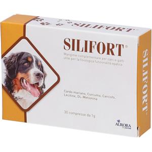 DDFARMA Srl Silifort, 30 compresse