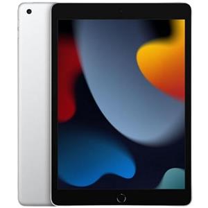 iPad 9 2021 Ricondizionato - argento - 64gb - wifi-cellular - ottimo -