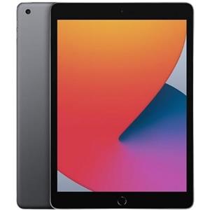 iPad 8 2020 Ricondizionato - grigio-siderale - 32gb - ottimo - wifi-cellular -
