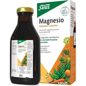 SALUS HAUS GMBH & CO KG MAGNESIUM MINERAL DRINK 250ML