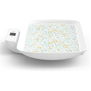 Bilancia evolutiva Smart