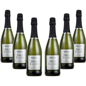 Arione TREVIL | Spumante Brut, Confezione da 6 Bottiglie da 750 ml