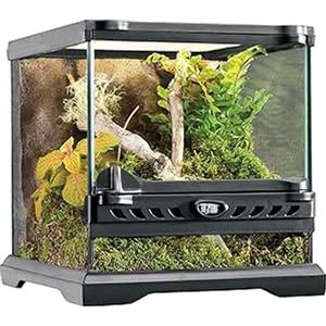 Exo Terra - Micro terrario in vetro con ambientazione per rettili, dimensioni 20 x 20 x 20 cm