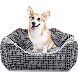 JOEJOY Cuccia Cane Interno Taglia Media, Cuccia per Cani da Interno Lavabile, Antiscivolo, Cuscino Cane di Piccola, Media e Grande Taglia, Cuccia Gatto, Cuccia per Cani, S (64x53x20cm)