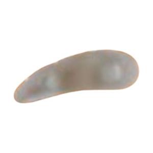 SAFTE Cuscinetto Orione G114 - 3 Anelli per Dita a Martello Destro, Misura Unica