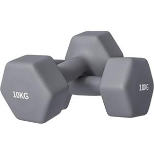 SPORTNOW Set di 2 Manubri Palestra 2x10 kg, Set Pesi Palestra Esagonali in Metallo e Neoprene con Impugnatura Antiscivolo, Allenamento Forza Fitness Casa per Uomini/Donne, Grigio