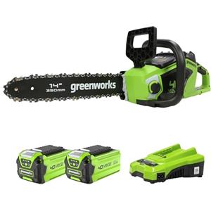 Greenworks 40V 35cm Motosega a Batteria con 2 Batterie da 2Ah e Caricabatterie, Motore Brushless, Velocità Catena 12m/s, 3,5kg, Auto-Lubrificante
