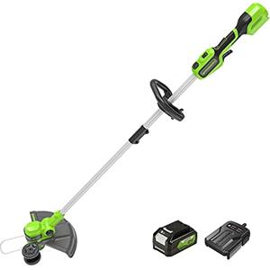 Greenworks 24V Tagliabordi a Batteria per Giardini Piccoli e Medi, Ampiezza di Taglio 30cm, Filo di Nylon da 1,65mm con Autofeed, Batteria 24V 2Ah e Caricabatterie, Garanzia 3 Anni G24LT30K2