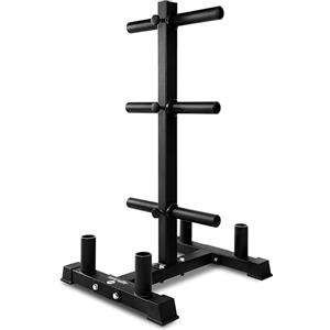 SereneLife Porta Dischi Palestra, Rastrelliera Pesi Capacità di 362,87 kg, Telaio Resistente ai Graffi, Finitura in Polvere, Facile da Montare, Compatto e Salvaspazio