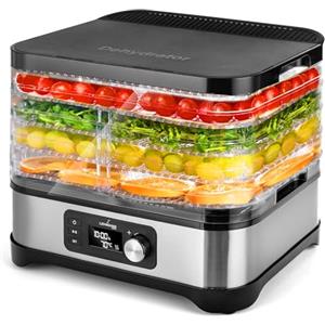 LEHMANN Essiccatore in acciaio inox, 450 W, disidratatore per alimenti con 5 vani di essiccazione, disidratatore con regolatore di temperatura 35 - 70 °C, essiccatore per frutta, funghi, carne, erbe