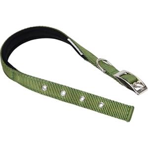 Ferplast Collare Cane Taglia Piccola Collare per Cani in Nylon Imbottito Regolabile Fibbia Metallica, Misura Collo 23-31 cm, Verde scuro