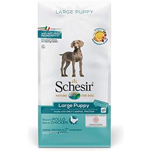 Schesir, Cibo Secco per Cani Cuccioli di Taglia Grande al Gusto Pollo, in Crocchette - Formato Sacco da 12Kg