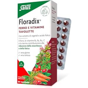 Salus Floradix - Integratore Alimentare con Ferro e Vitamine per ridurre la stanchezza e la fatica - 250ml