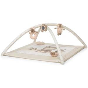 Foppapedretti Trainer Palestrina, Augh