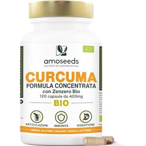 Amoseeds Curcuma BIO con Zenzero | Alta concentrazione, 95% di curcuminoidi | Curcumina Alto assorbimento | Riduce i dolori articolari | Senza piperina | 120 capsule | Qualità Superiore