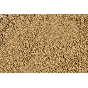 Taste of Argan argan Sabbia Fine 0-4 Ottima per Terrari, Acquari Drenaggio Piante e Decoro Vaso Bonsai, Ottimo per Rettili e Tartarughe - 2,5kg