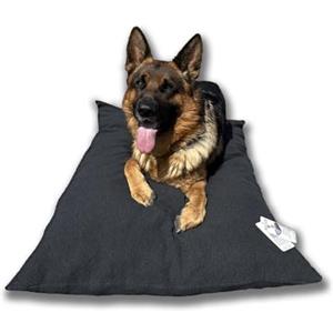 Dorian Home - Cuccia Cane Interno Taglia Grande, Media e Piccola - Cuscino Cane e Gatto Lavabile senza Sfoderare, Extra Imbottito e Morbido - Cuscino per Cani e Gatti Antimacchia Resistente ai Graffi