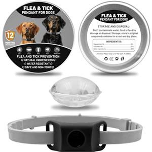 forbany Ciondolo repellente per pulci e zecche per cani, ingredienti 100% naturali, protegge da pulci e zecche. (Nero, Taglia unica per tutti)