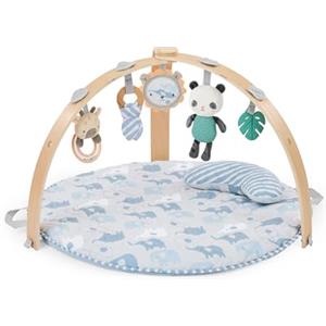 Ingenuity Cozy Spot - Palestrina multiattività e Tappetino da Gioco Double Face con Barra Giochi in Legno, Tema Elephant March, 0+ Mesi