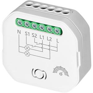 ADAKAT Smart Wi-Fi 2,4 GHz ricevitore a 2 canali con dimmer, relay, compatibile con Alexa, Google Home, controllo vocale, LED adatto
