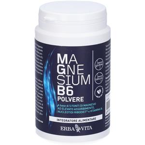 ERBA VITA GROUP SpA Magnesium B6 Polvere, Erba Vita, Integratore al Magnesio con Vitamina B6, 200g