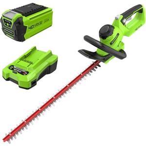 Greenworks G40HT61K2 Tagliasiepi a Batteria, Lame a Doppia Azione da 61cm, Taglia Rami e Steli Fino a 27mm di Spessore, 3000spm, Batteria 40V 2Ah e Caricabatterie, Garanzia 3 Anni