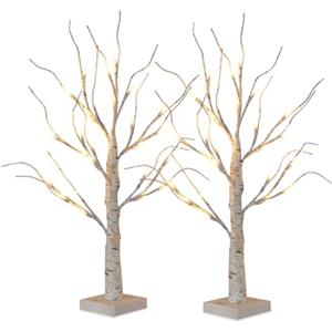 Wintem - Decorazioni Natalizie LED Effetto Betulla Set 2 Pezzi per Casa ed Interni, Alberelli Illuminati con 24 Luci Calde a Batteria, Ideali come Addobbi Natalizi Eleganti e Albero di Natale Mini
