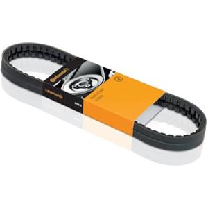 CONTITECH AVX10X1600 Cinghia trapezoidale