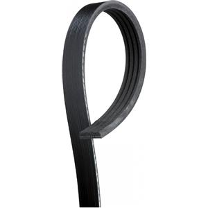 GATES Cinghia Poly-V GATES 4PK711VSF