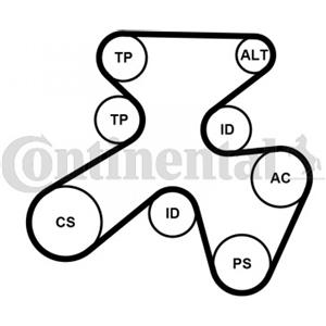 CONTITECH Kit Cinghie Poly-V 7PK1855K1 - Compatibile con BMW 1 e 3 Serie