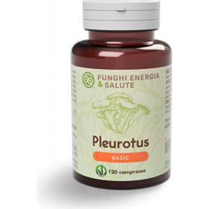 Funghi Energia e Salute Pleurotus Basic