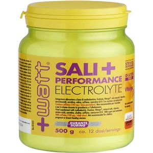 Watt Sali Performance Electrolyte 500g - Integratore con Maltodestrine, Aminoacidi e Caffeina, Gusto Limone