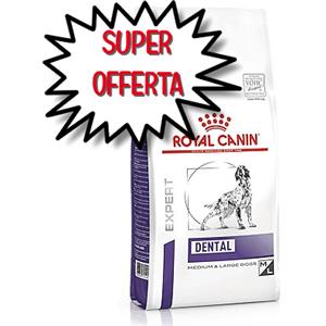 Royal Canin Dental Medium/Large - Alimento secco per cani adulti da 6 kg con igiene orale avanzata