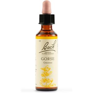Schwabe Pharma Italia Gorse Bach Orig 20ml
