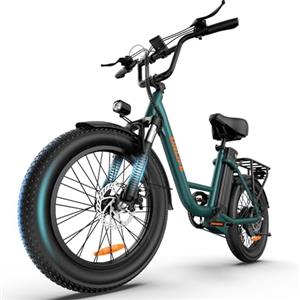 URLIFE Bicicletta Elettrica 20 * 3" Fat Tire Per Adulti, 7 Velocità Bici Elettrica da 48V 13Ah Batteria Rimovibile, Autonomia bis zu 100km E-bike Per Pendolari Urbani con Display LCD Colorato