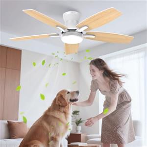 Airwit 106cm Silenzioso Ventilatore da Soffitto con Luce, Doppia Faccia Pale Ventilatore da Soffitto LED con Telecomando e Reversible DC Motore per Camera da Letto, Cucina, Soggiorno, 6 Velocità