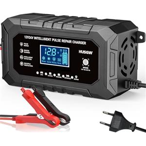 Husgw 12V15A 24V8A Caricabatterie per Auto, Carica Batteria Auto LiFePO4, Caricabatterie Auto Intelligente 9 Livelli, Protezioni Multiple,Adatto Auto, Camion, Motociclette,LiFeP04 (Nero 15)