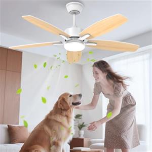 Airwit 106cm Silenzioso Ventilatore da Soffitto con Luce, Doppia Faccia Pale Ventilatore da Soffitto LED con Telecomando e Reversible DC Motore per Camera da Letto, Cucina, Soggiorno, 6 Velocità