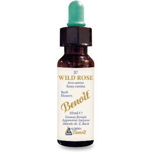 ALCHIMIA BENOIT Srl Fiori di bach benoit wild rose 10 ml - ALCHIMIA BENOIT - 925392401